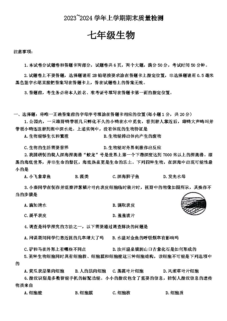 64，河南省平顶山市汝州市2023-2024学年七年级上学期期末生物试题第1页