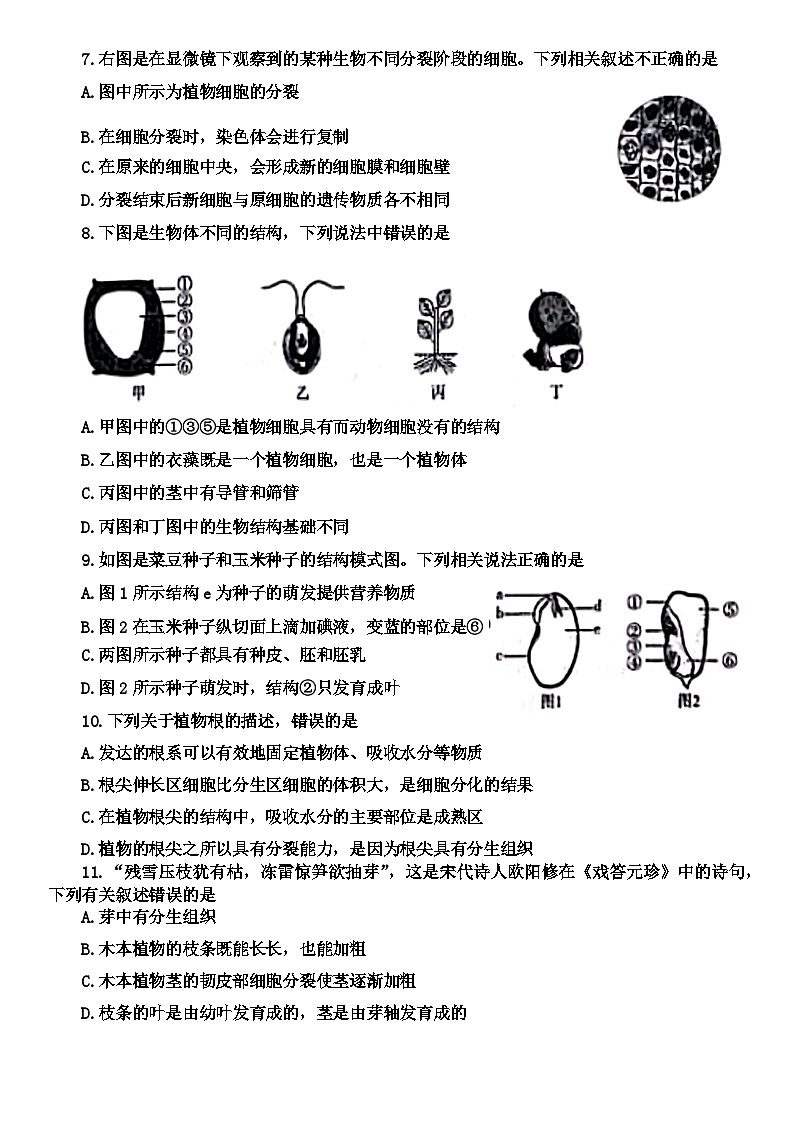 64，河南省平顶山市汝州市2023-2024学年七年级上学期期末生物试题第2页