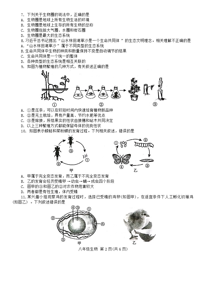66，河南省平顶山市宝丰县2023-2024学年八年级上学期期末生物试题02