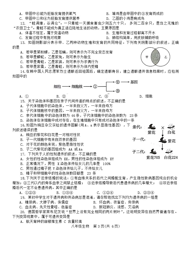 66，河南省平顶山市宝丰县2023-2024学年八年级上学期期末生物试题03
