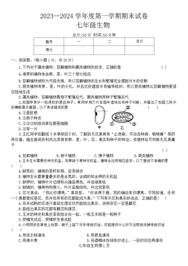 河南省商丘市民权县2023-2024学年七年级上学期期末生物试题第1页