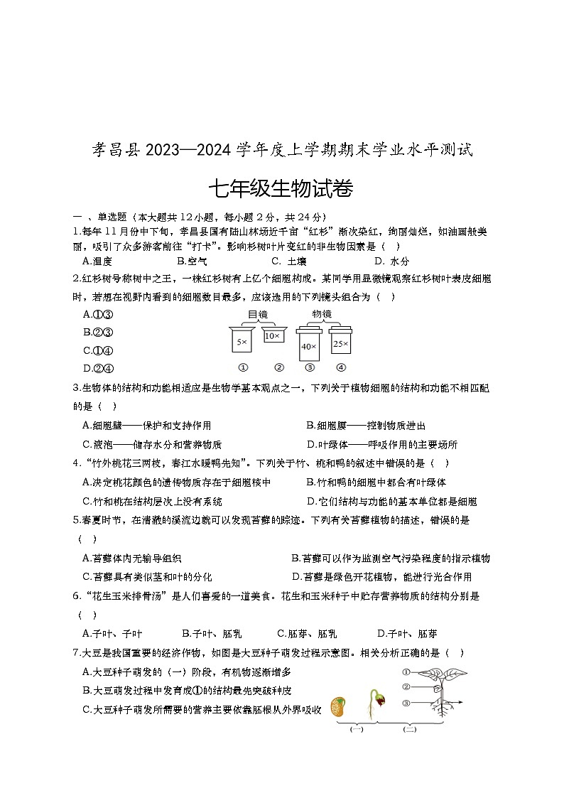湖北省孝感市孝昌县2023-2024学年七年级上学期期末考试生物试题01