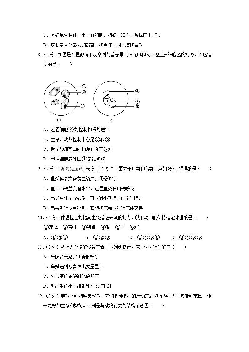山东省济南市钢城区2023-2024学年八年级上学期期末生物试卷第2页