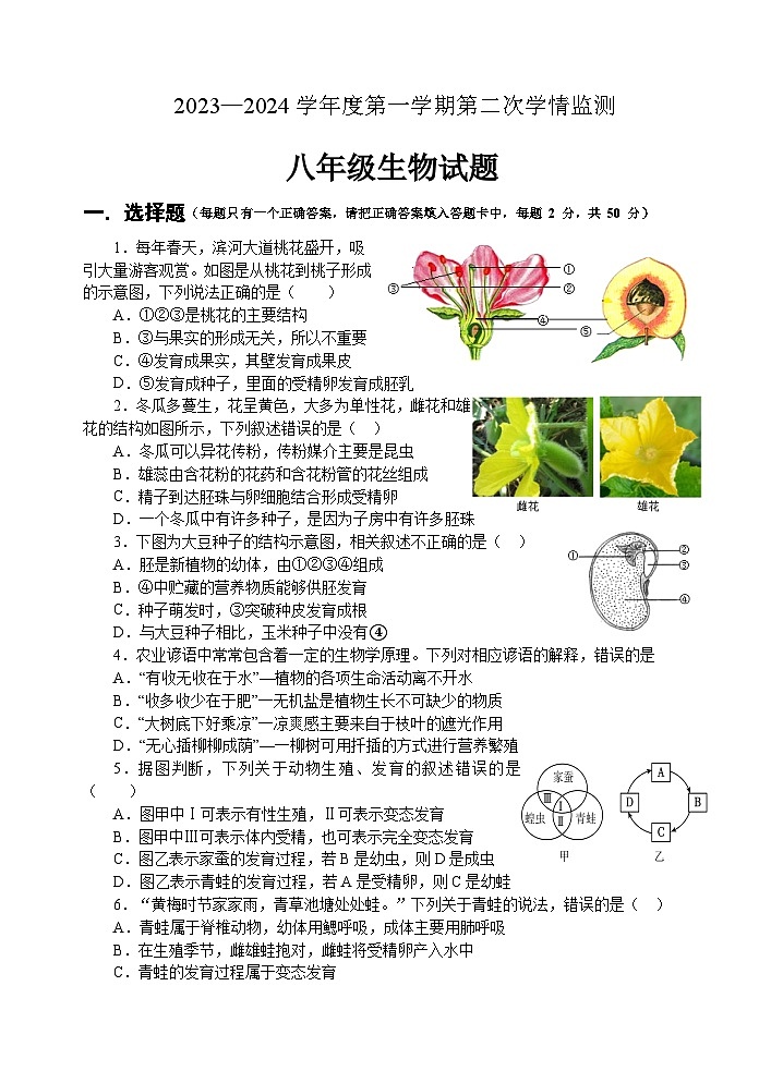 山东省济宁市金乡县2023-2024学年八年级上学期期末考试生物试题(1)01