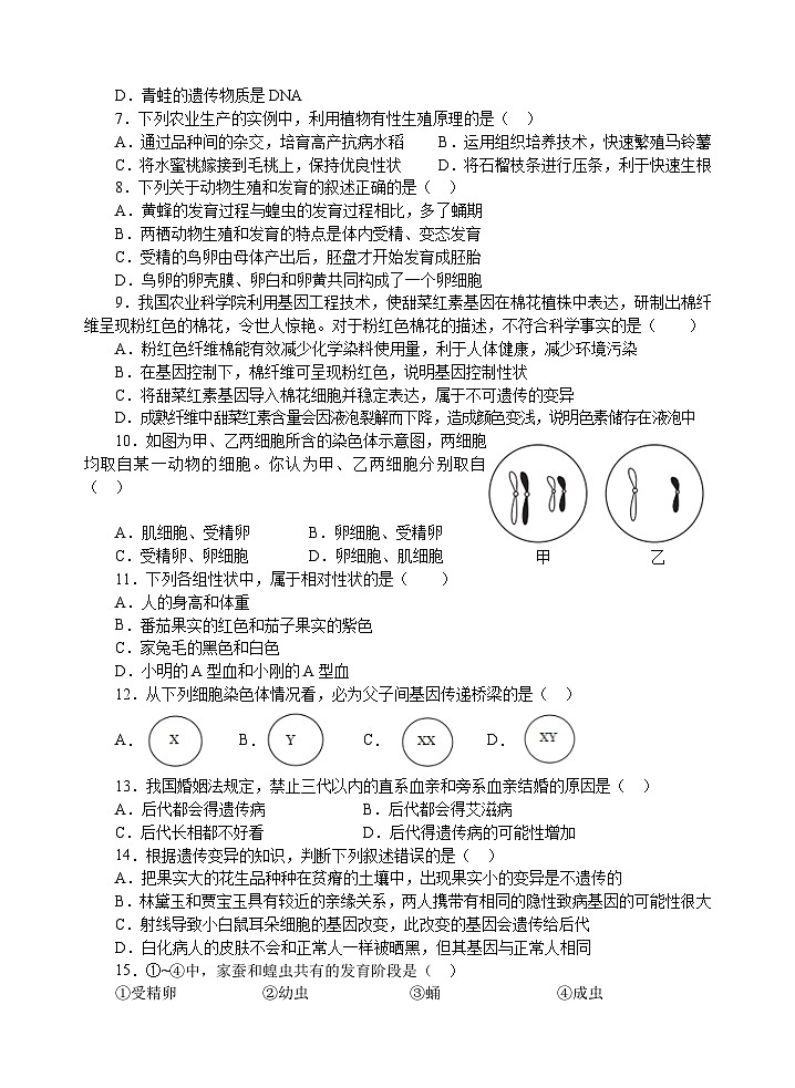 山东省济宁市金乡县2023-2024学年八年级上学期期末考试生物试题(1)02