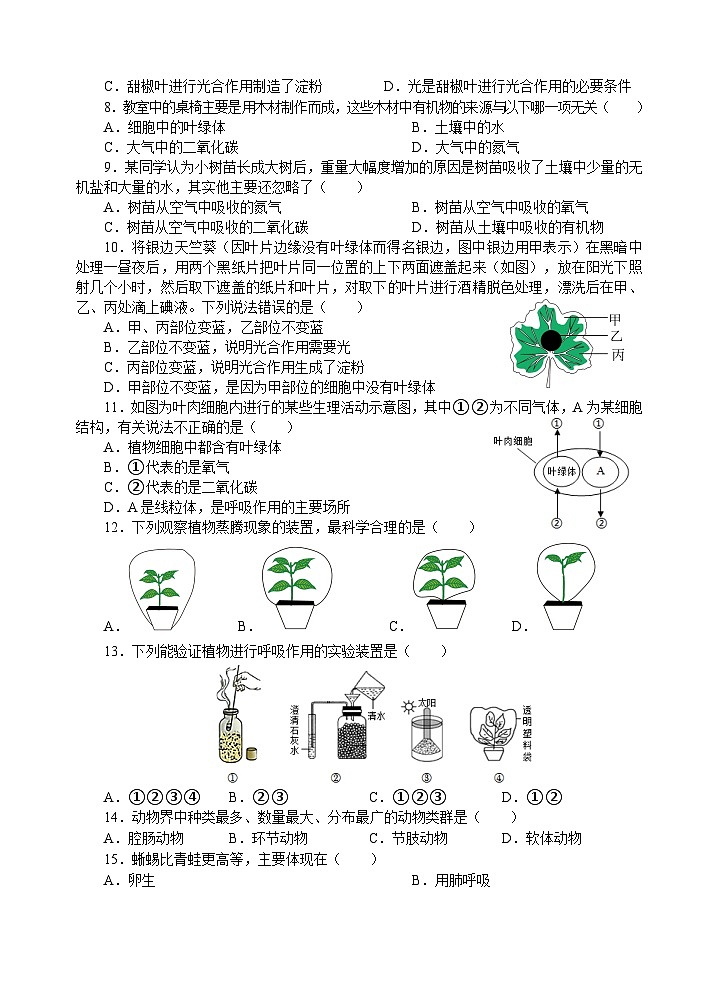 山东省济宁市金乡县2023-2024学年七年级上学期期末考试生物试题(1)02