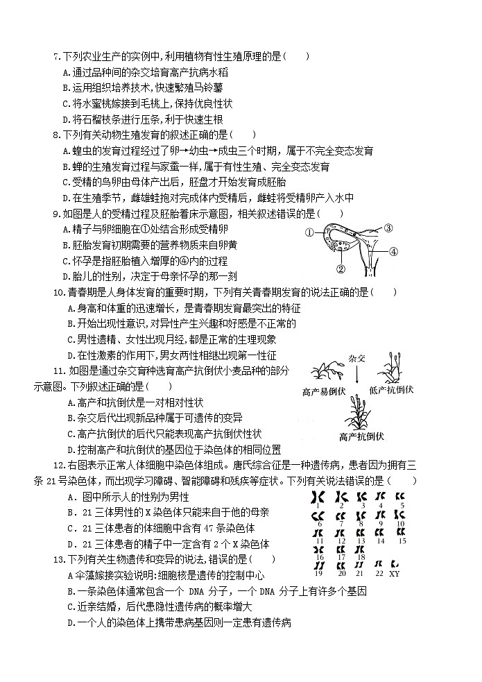 山东省枣庄市薛城区2023-2024学年八年级上学期期末考试生物试题第2页