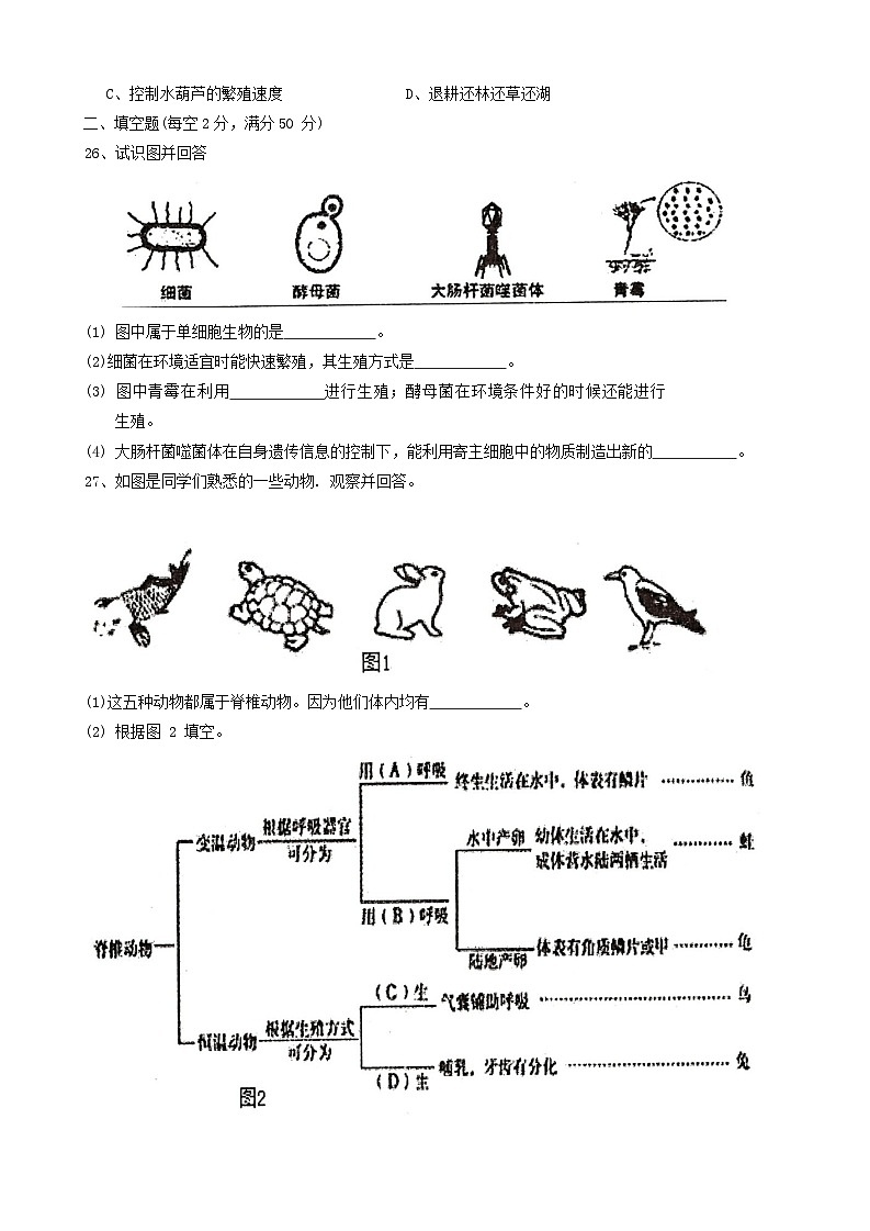 18，安徽省池州市青阳县2023-2024学年八年级上学期期末生物试题03
