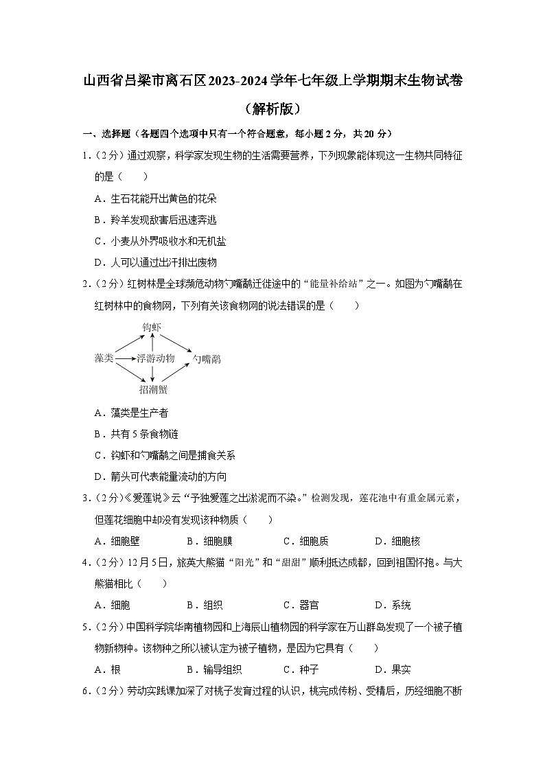 34，山西省吕梁市离石区2023-2024学年七年级上学期期末生物试卷第1页