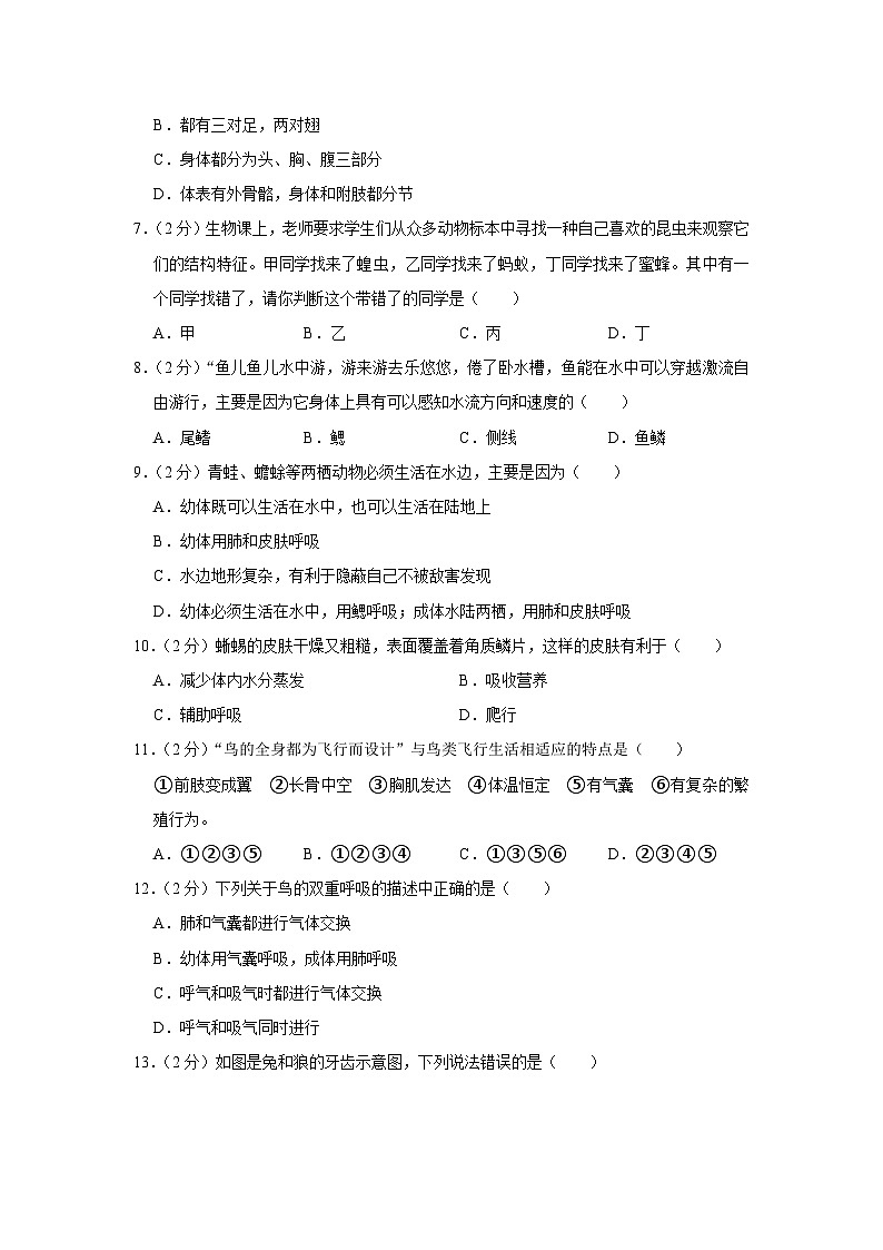 40，云南省昭通市永善县2023-2024学年八年级上学期期末生物试卷02