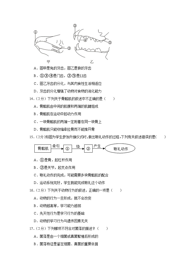 40，云南省昭通市永善县2023-2024学年八年级上学期期末生物试卷03