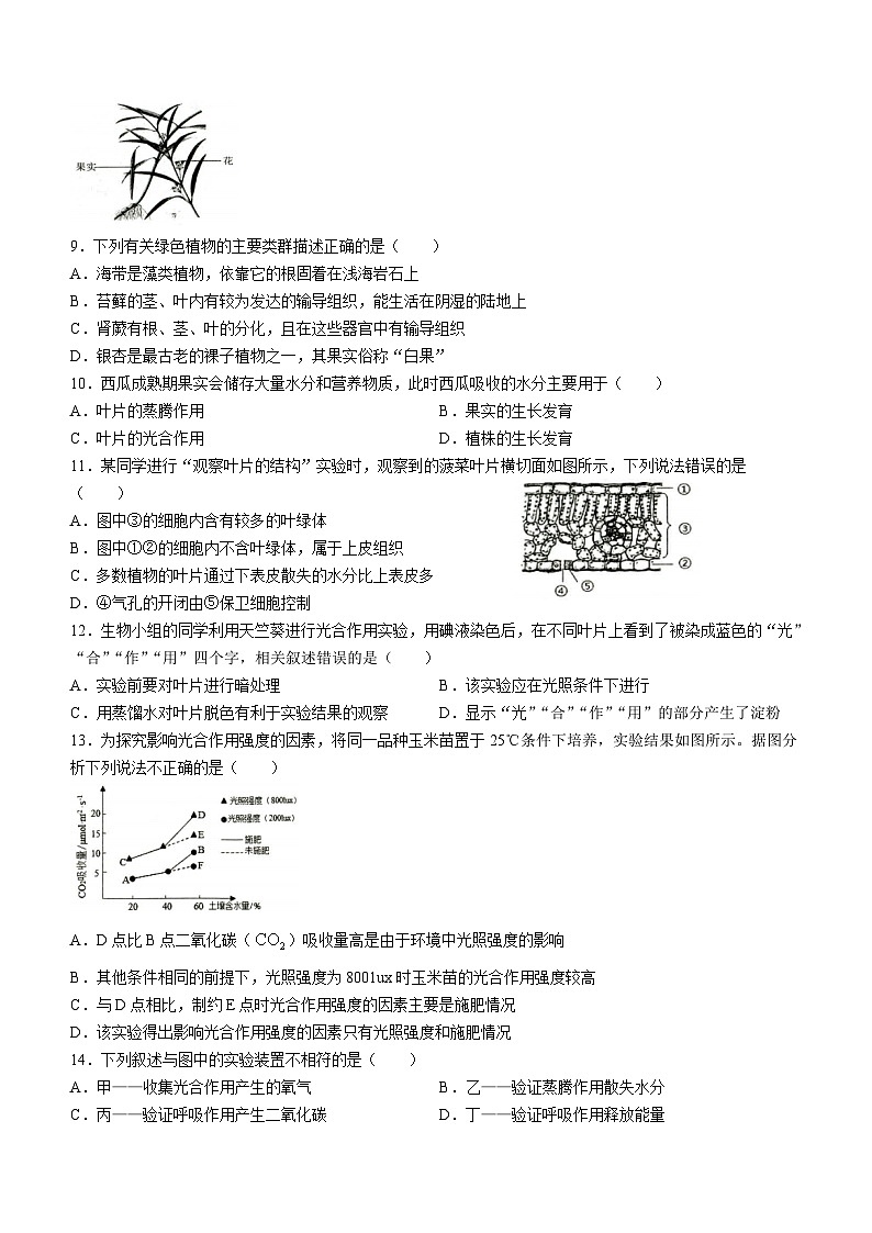 42，山东省枣庄市薛城区2023-2024学年七年级上学期期末考试生物试题02