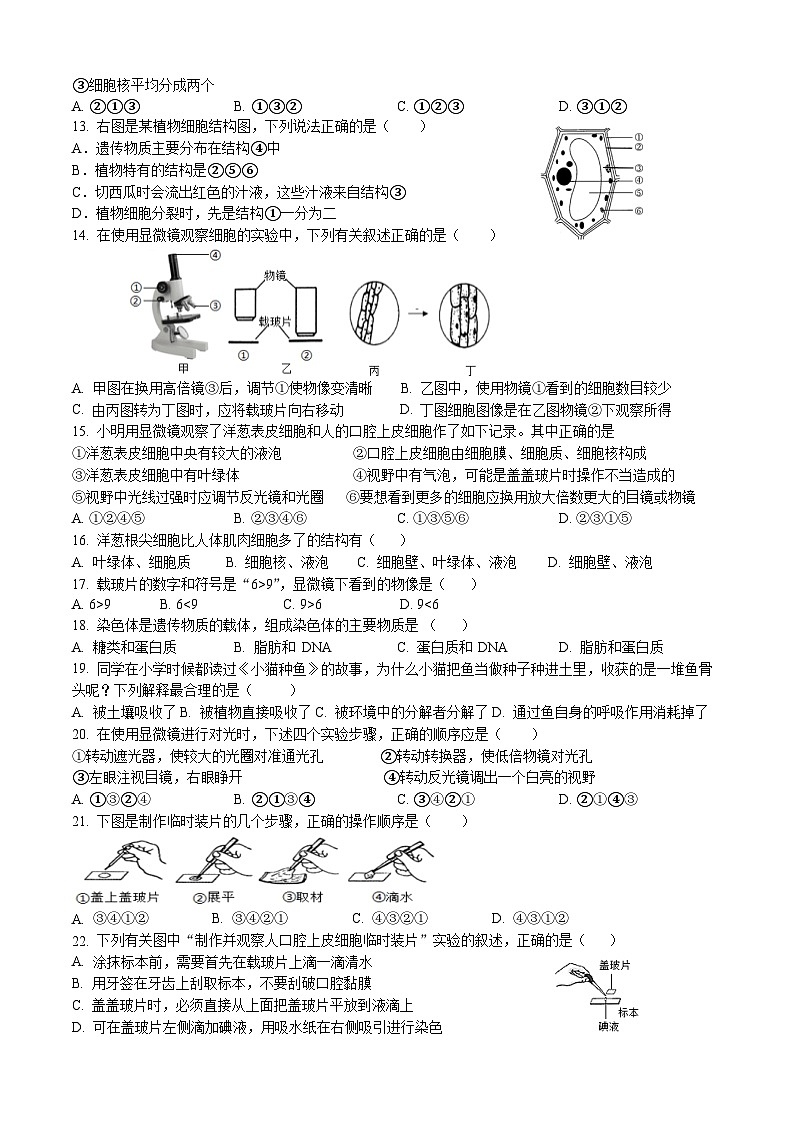 2023-2024学年人教版生物七年级上册期中复习试卷02