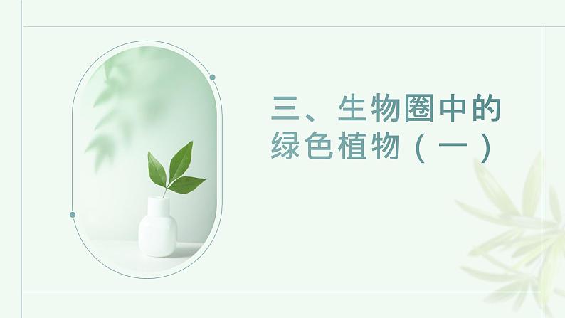 第三单元++生物圈中的绿色植物（一）课件-2023-2024学年人教版生物七年级上册第1页