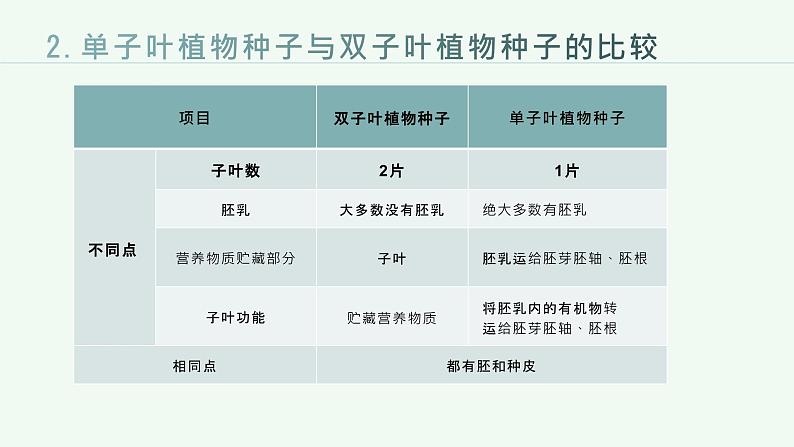 第三单元++生物圈中的绿色植物（一）课件-2023-2024学年人教版生物七年级上册第8页