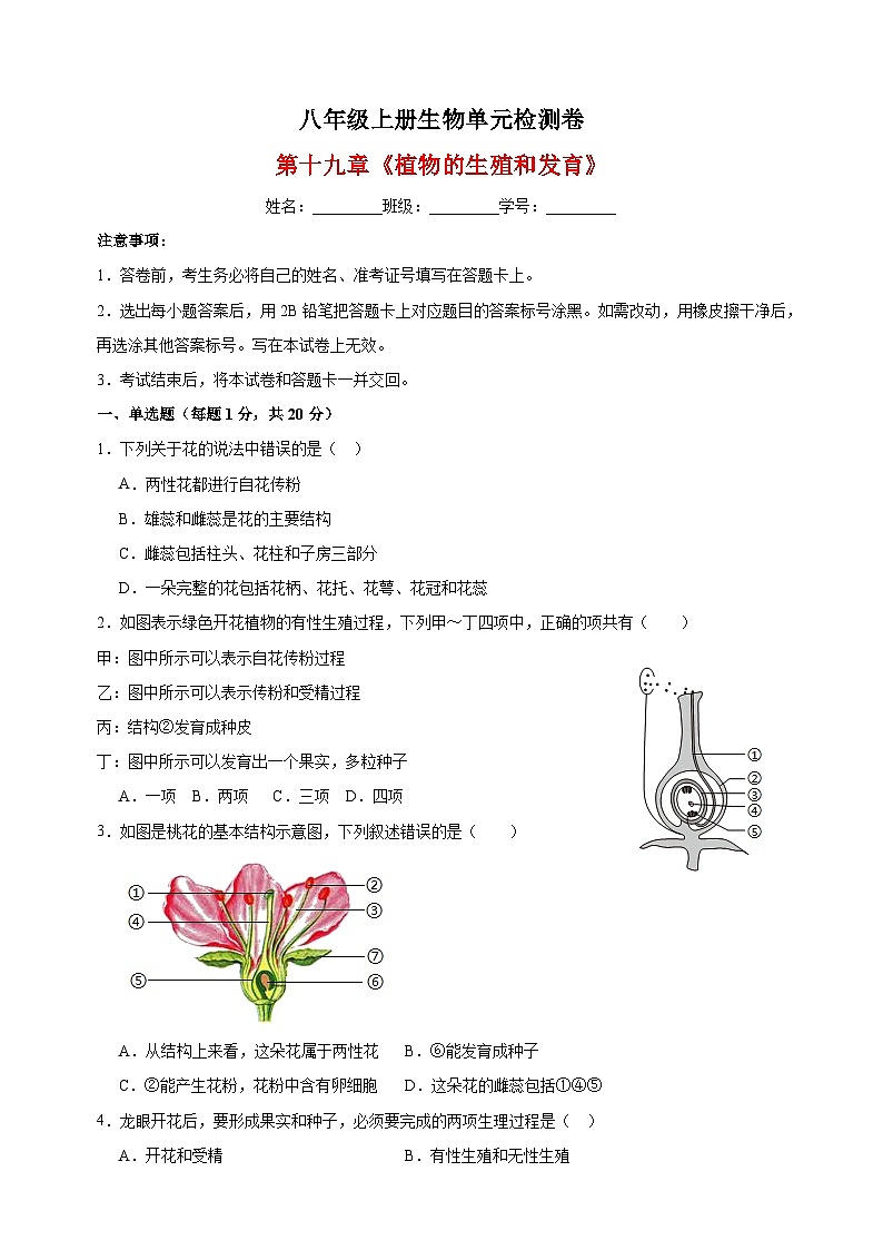 2023-2024学年苏科版八年级上册生物第十九章《植物的生殖和发育》单元检测卷（含答案解析）01