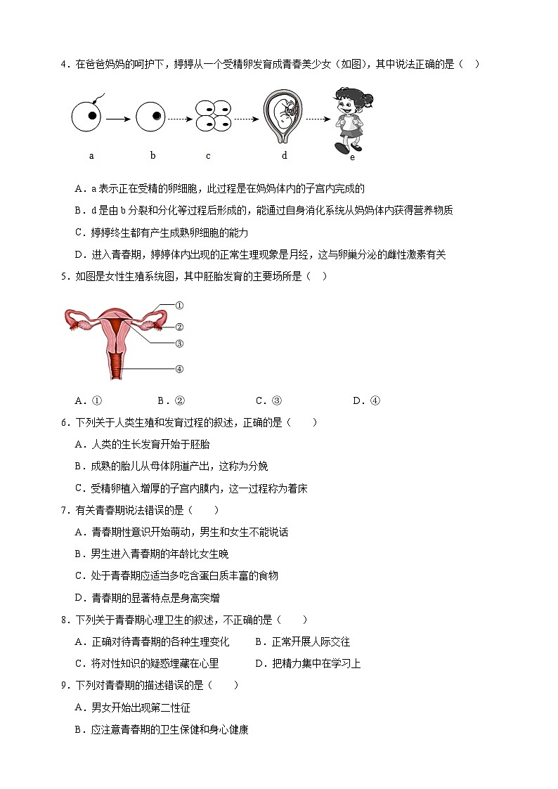 2023-2024学年苏科版八年级上册生物第二十一章《人的生殖和发育》单元检测卷（含答案解析）02