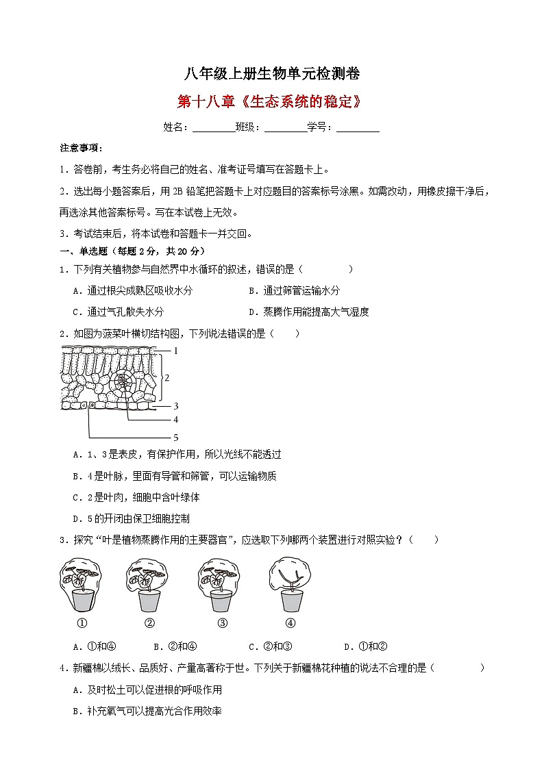 2023-2024学年苏科版八年级上册生物第十八章《生态系统的稳定》单元检测卷（含答案解析）01