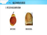 7.1.2食品保存+课件2023--2024学年济南版生物八年级下册