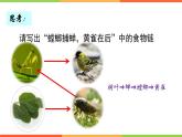 6.2.2+食物链和食物网课件2023--2024学年济南版生物八年级下+册