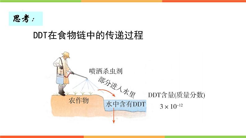 6.2.2+食物链和食物网课件2023--2024学年济南版生物八年级下+册07