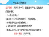 6.2.1+生态系统的组成+课件2023--2024学年济南版生物八年级下+册