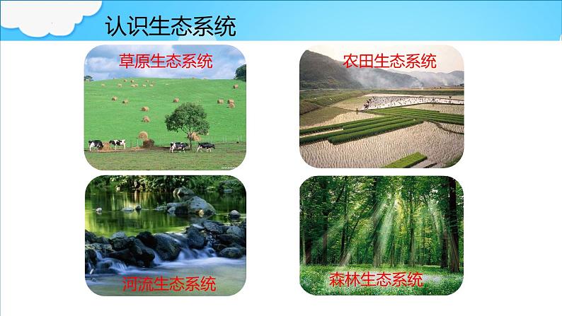 6.2.1+生态系统的组成+课件2023--2024学年济南版生物八年级下+册04