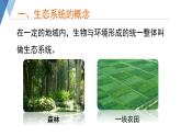 6.2.1+生态系统的组成+课件2023--2024学年济南版生物八年级下+册 (1)