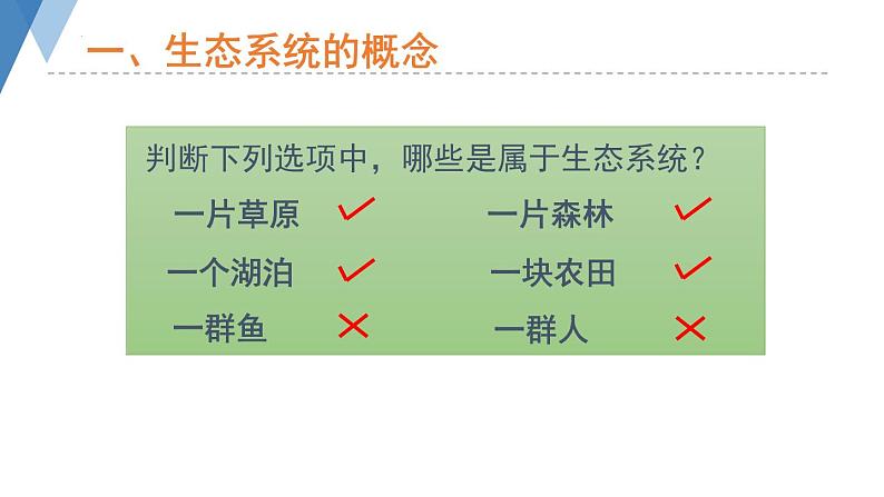 6.2.1+生态系统的组成+课件2023--2024学年济南版生物八年级下+册 (1)07