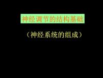 济南版七年级下册第二节 神经调节的结构基础课堂教学ppt课件