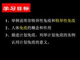 3.6.1++人体的免疫功能++课件-2023-2024学年济南版生物七年级下册