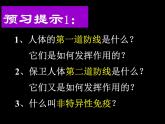 3.6.1++人体的免疫功能++课件-2023-2024学年济南版生物七年级下册