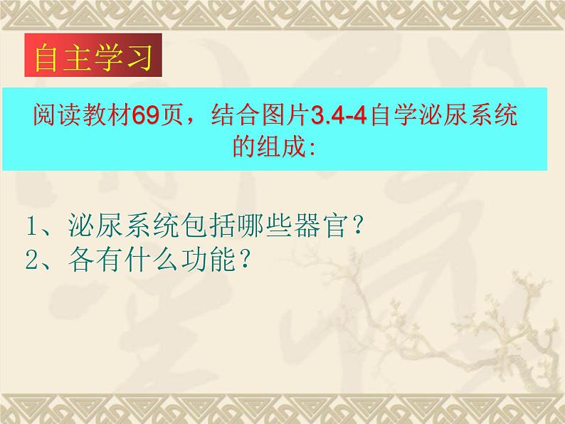 3.4.1尿液的形成和排出课件2023--2024学年济南版生物七年级下册第5页