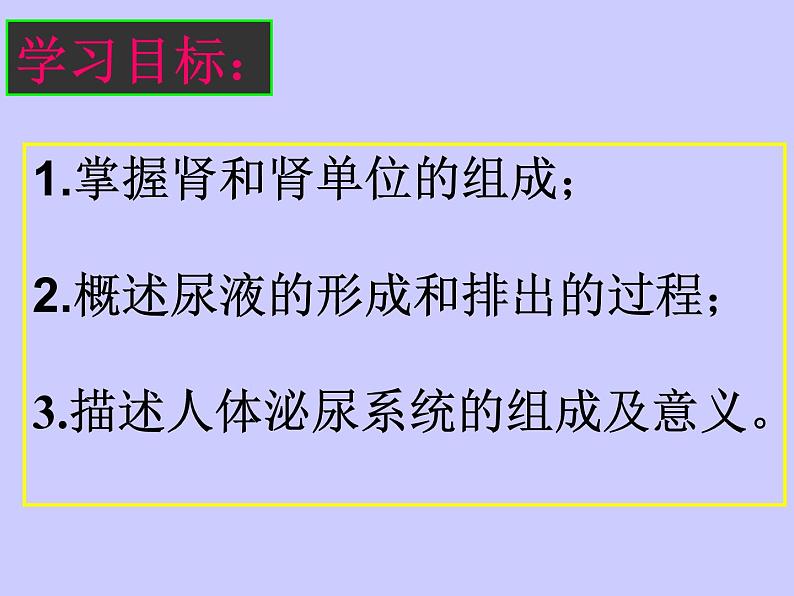 3.4.1++尿液的形成与排出++课件-2023-2024学年济南版生物七年级下册02