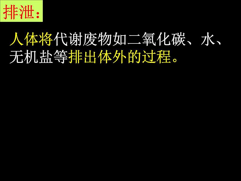 3.4.1++尿液的形成与排出++课件-2023-2024学年济南版生物七年级下册03