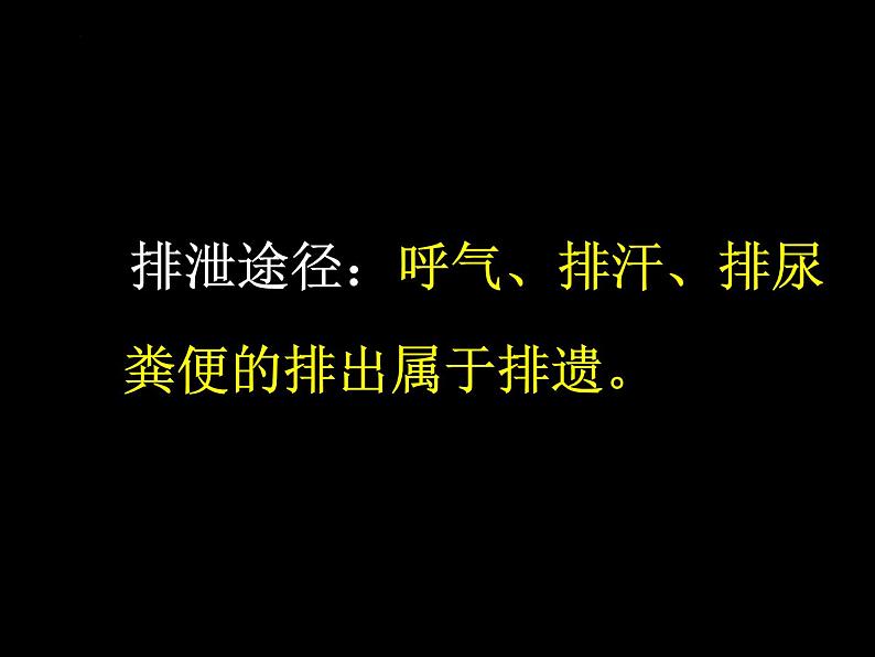 3.4.1++尿液的形成与排出++课件-2023-2024学年济南版生物七年级下册05