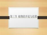 3.2.3++开花与结果++课件-2023-2024学年人教版生物七年级上册