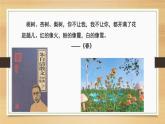 3.2.3++开花与结果++课件-2023-2024学年人教版生物七年级上册