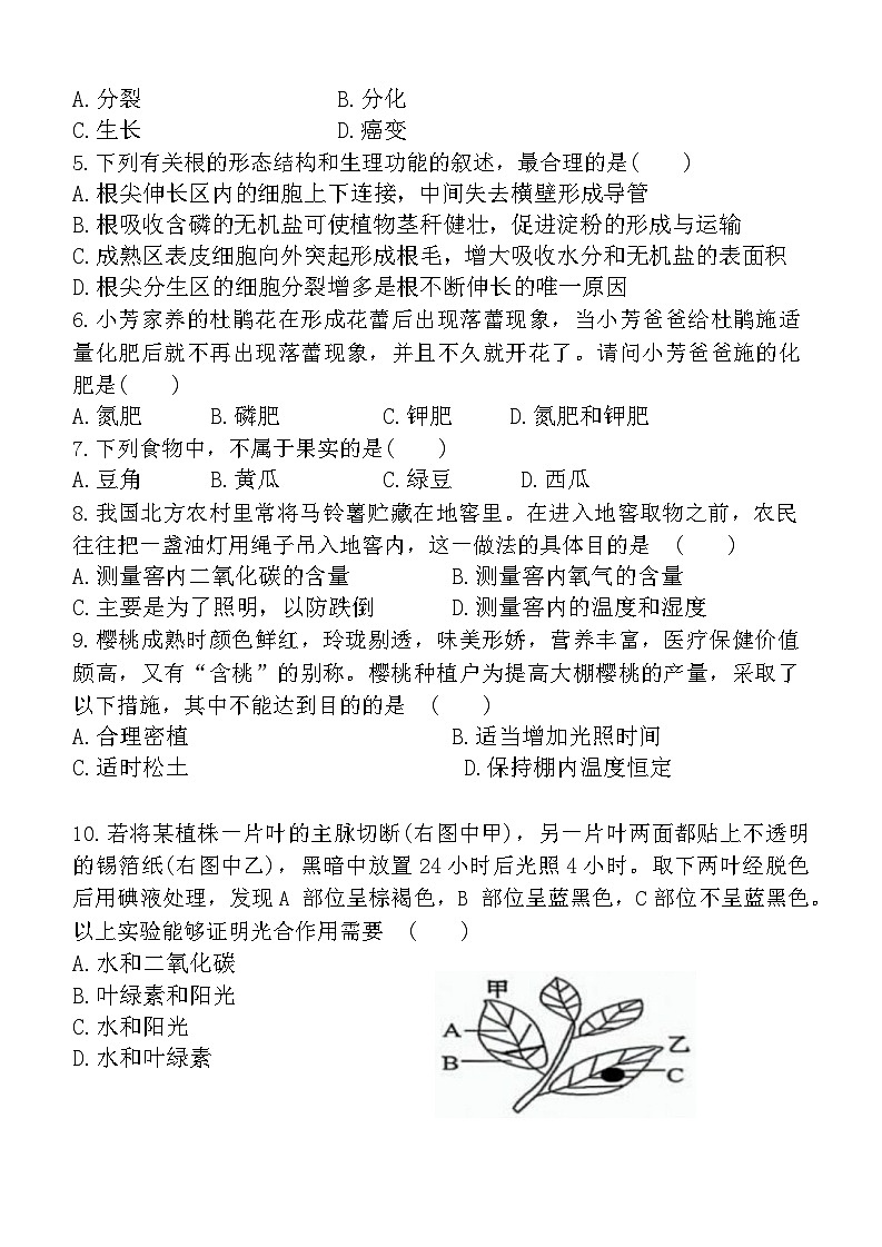 甘肃省酒泉市玉门市三中大学区2023-2024学年七年级上学期期末生物试题02