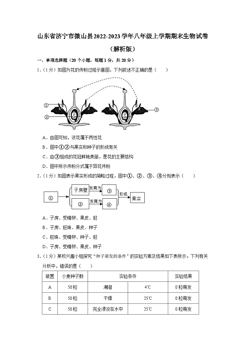 山东省济宁市微山县2022-2023学年八年级上学期期末生物试卷01