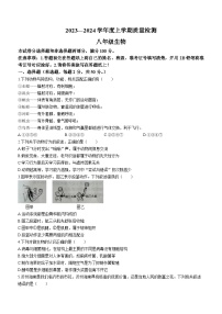 山东省临沂市兰陵县2023-2024学年八年级上学期生物期末考试试题