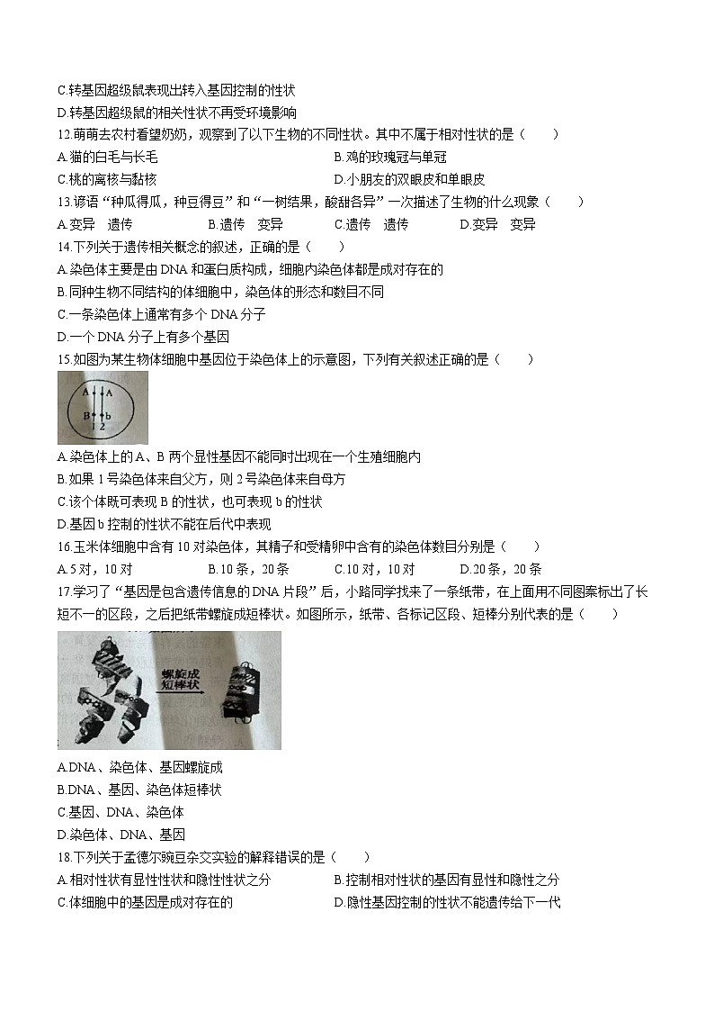 山东省临沂市兰陵县2023-2024学年八年级上学期生物期末考试试题03