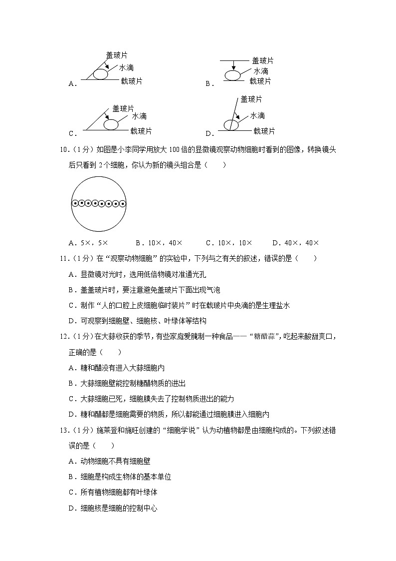 山东省泰安市岱岳区2023-2024学年六年级上学期期末生物试卷03