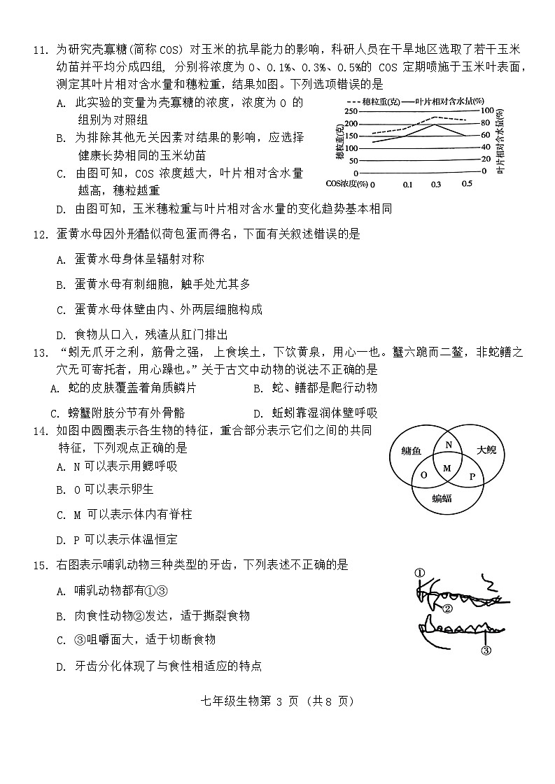 山东省潍坊市潍城区2023-2024学年第一学期七年级生物期末试题第3页