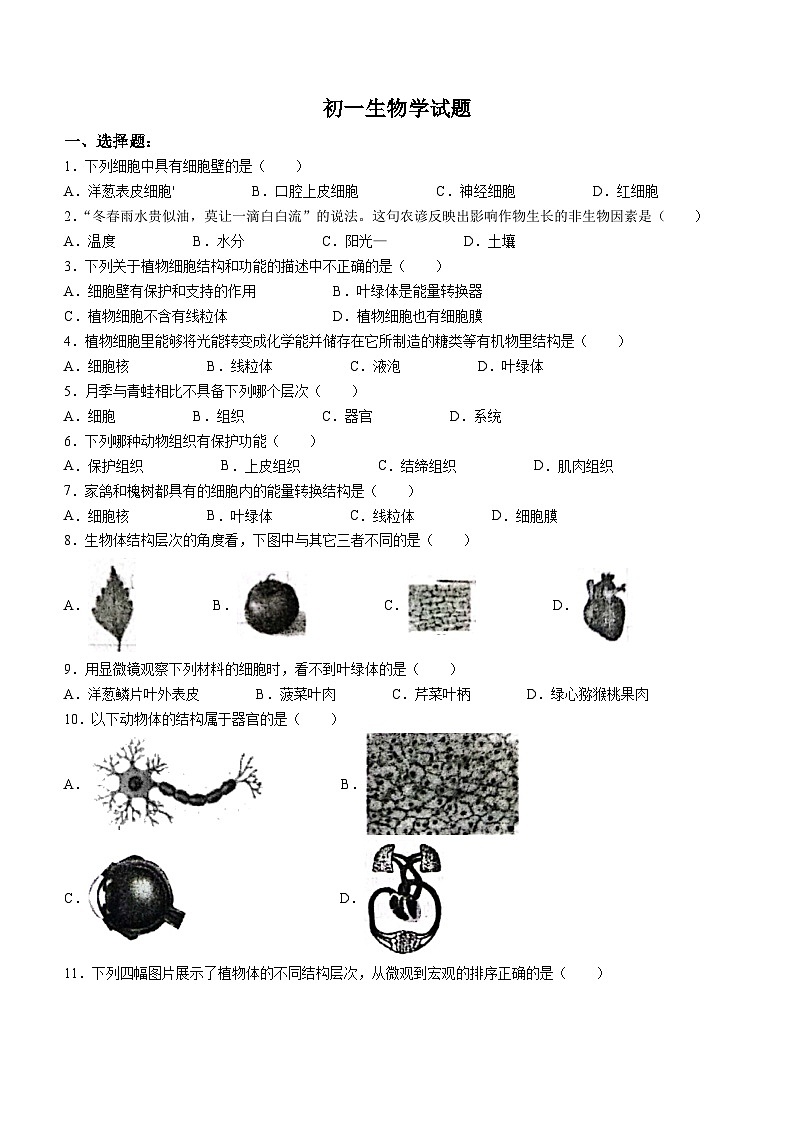 山东省淄博市淄川区（五四制）2023-2024学年六年级上学期期末生物试题01