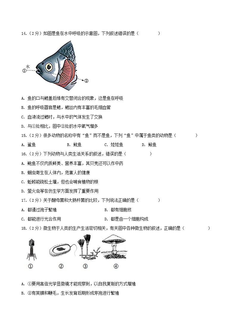 2023-2024学年安徽省合肥市包河区八年级上学期期中生物试题及答案第3页