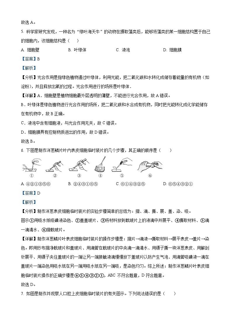 海南省乐东县2023-2024学年七年级上学期期末生物试题03