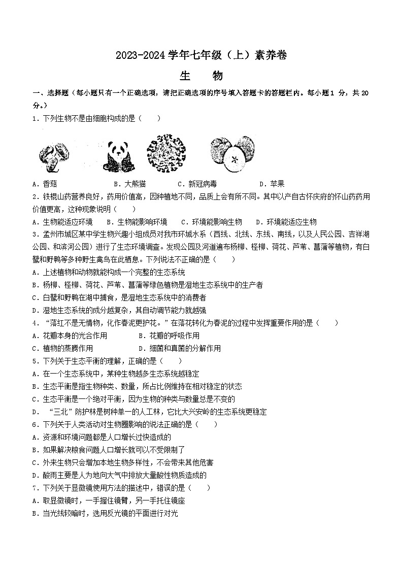河南省焦作市武陟县2023-2024学年七年级上学期期中生物试题01