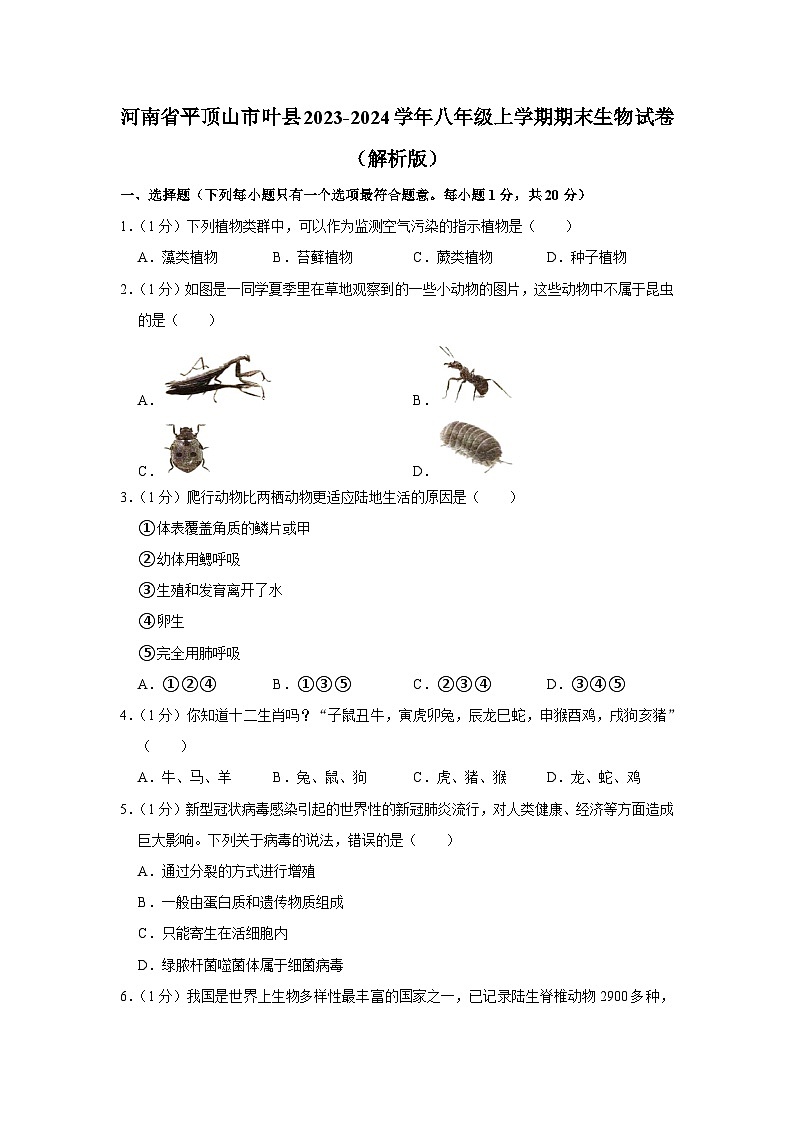 河南省平顶山市叶县2023-2024学年八年级上学期期末生物试卷第1页