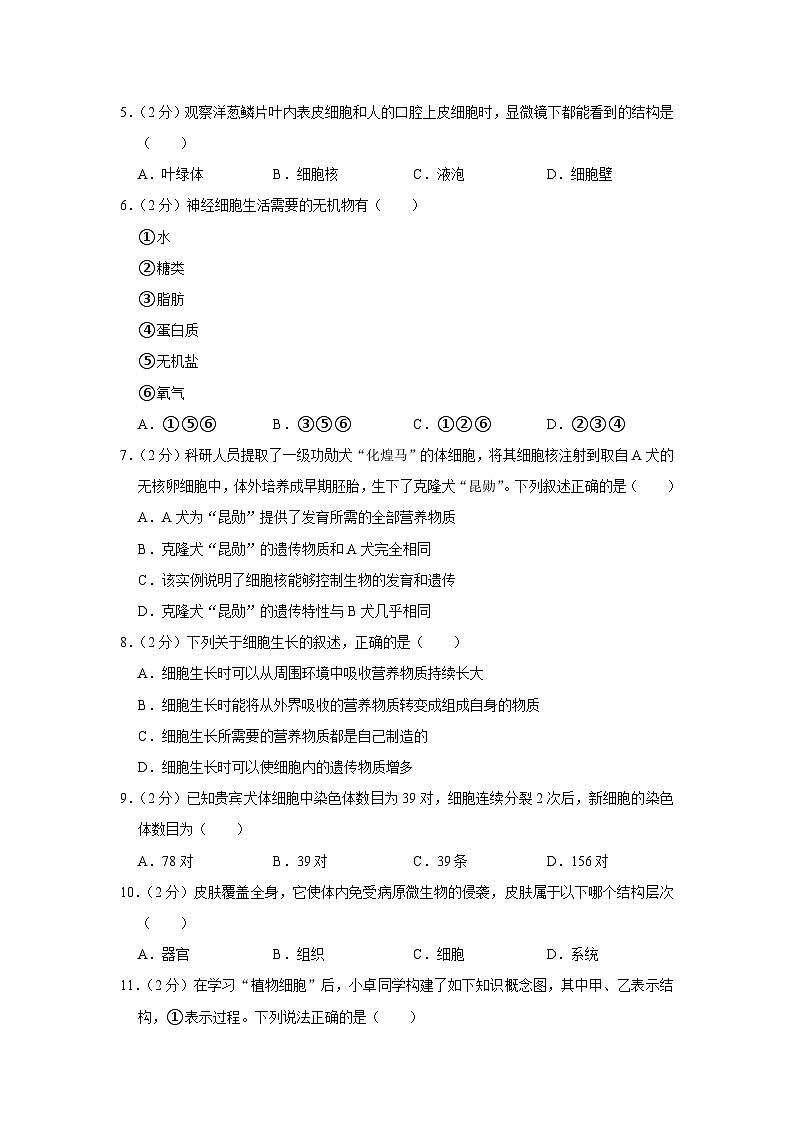 湖南省娄底市2023-2024学年七年级上学期期末生物试卷第2页